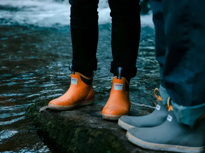 Botas